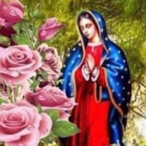 Meet your Posher, Gilberto